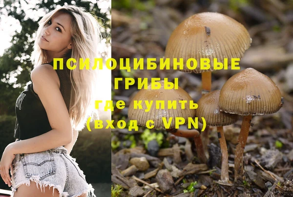 трава Алзамай